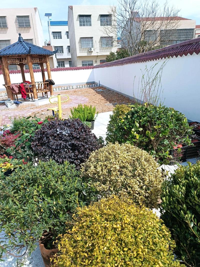 單位綠化施工現場紀實 園林景觀中的假山營造藝術